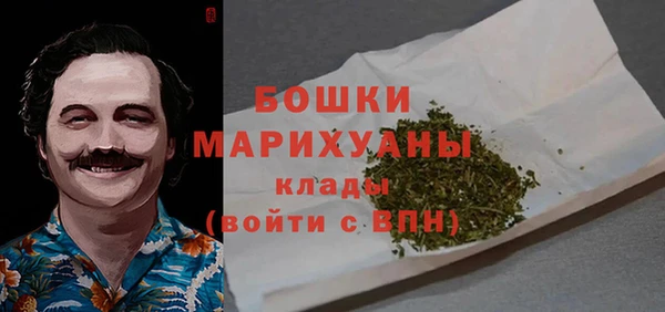 дмт Арсеньев