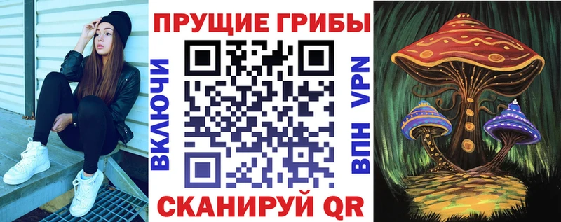 Галлюциногенные грибы Cubensis  купить наркотики цена  mega ONION  Темрюк 